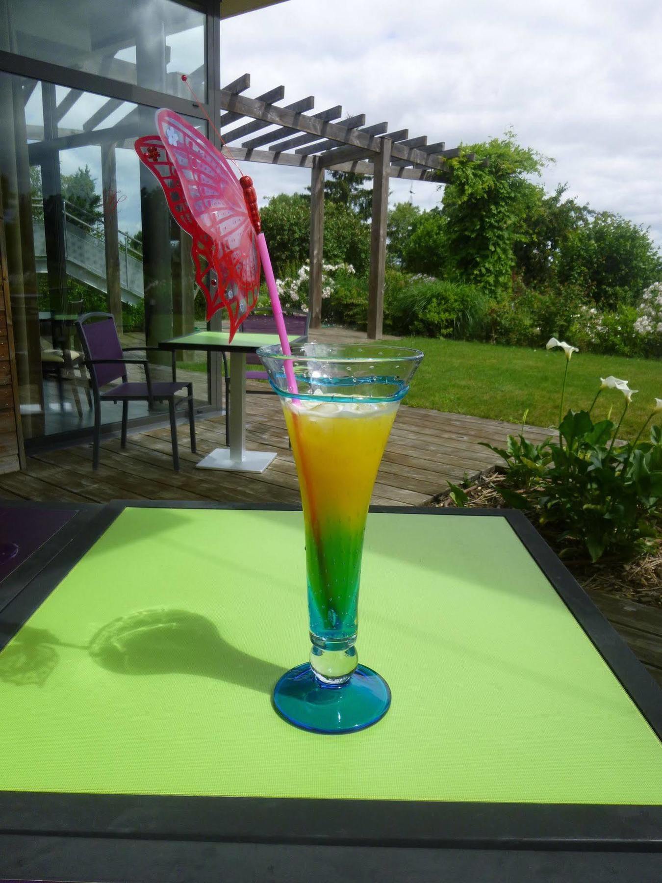 Logis Hotel Terre De Loire Belleville-sur-Loire Екстер'єр фото